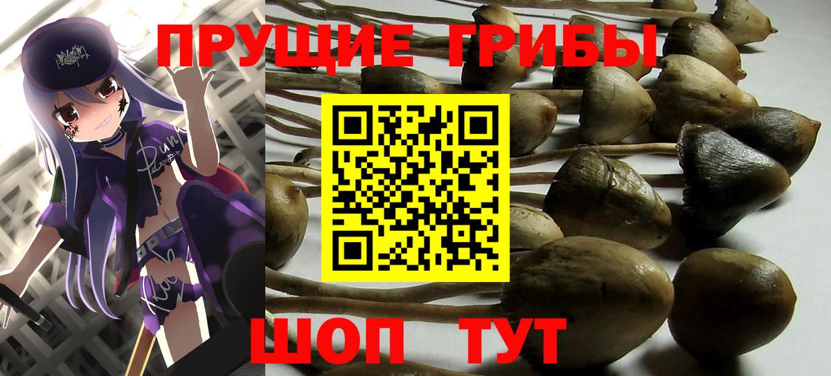 Галлюциногенные грибы GOLDEN TEACHER  Вход с VPN  Псилоцибиновые грибы мухоморы  Серов 